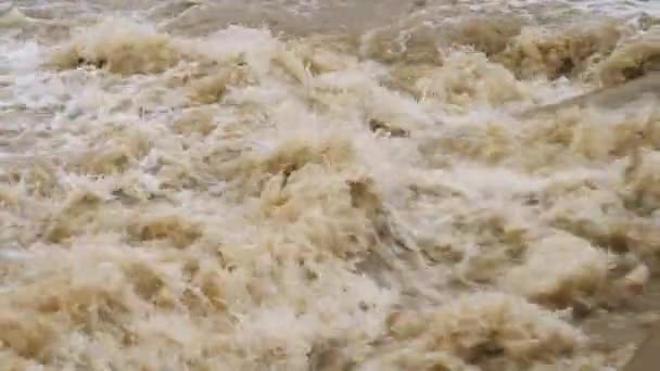 Desastres naturales y climas extremos. Río furioso con agua sucia — Vídeos de Stock