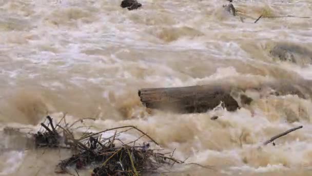 자연재해와 극심 한 날씨. 더러운 물이 흐르는 강 — 비디오