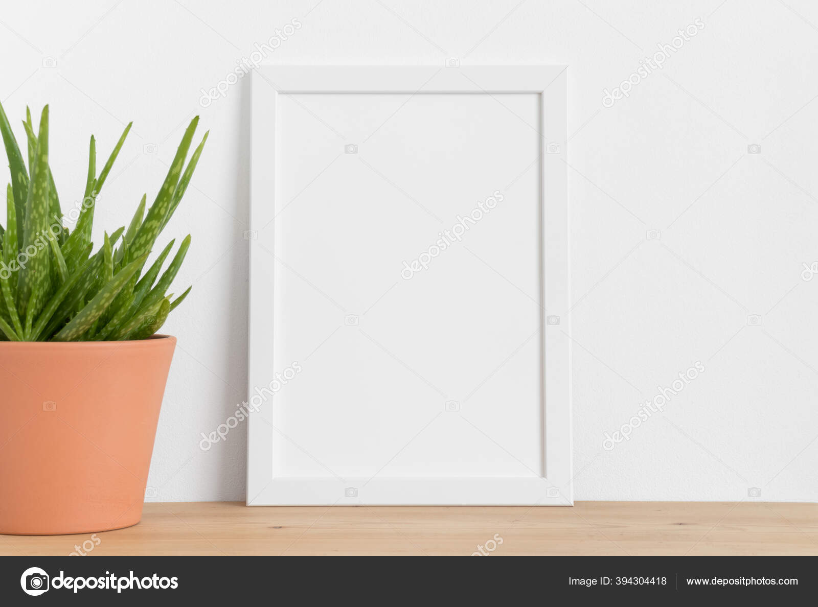Mockup Bingkai Putih Dengan Aloe Vera Dalam Panci Keramik Atas Stok Foto C Snoflinga 394304418