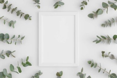 Beyaz arkaplanda okaliptüs dalları ile çevrili beyaz çerçevenin üst görünümü.