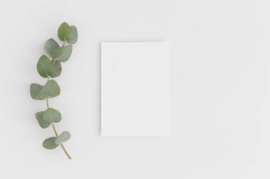 Beyaz bir masanın üzerinde okaliptüs dalı olan beyaz kart modelinin üst görünümü.