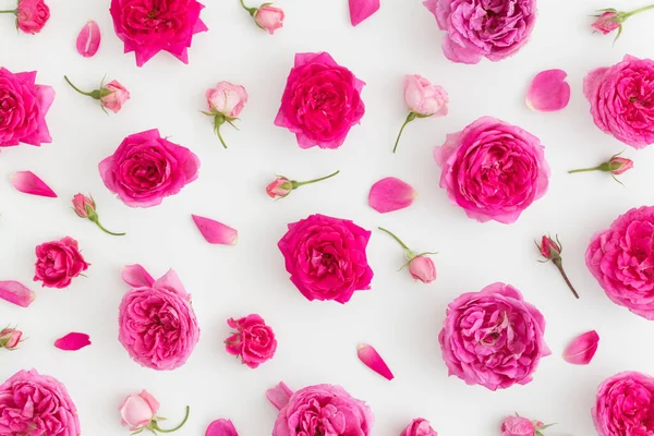 Patrón Floral Rosas Rosadas Sobre Fondo Blanco Vista Superior — Foto de Stock