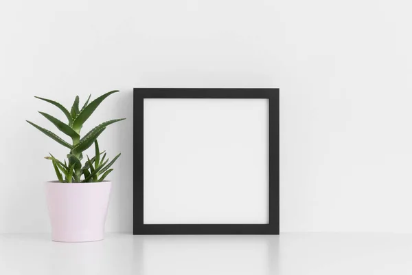 stock image Black square frame mockup with a aloe vera in a pot on a white table.