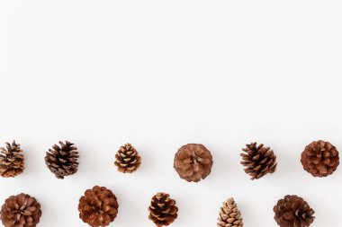 Beyaz bir masada çam kozalakları. Boş kopya alanı ile düz yatıyordu.