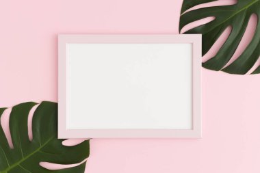 Pembe bir çerçeve modeli ve pembe arka planda canavar yaprağı süslemesi. Peyzaj yönelimi.