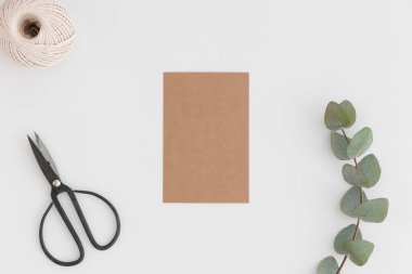 Okaliptüs dalı, makas ve beyaz bir masanın üzerinde sicim olan bir el işi kartının üst görüntüsü..