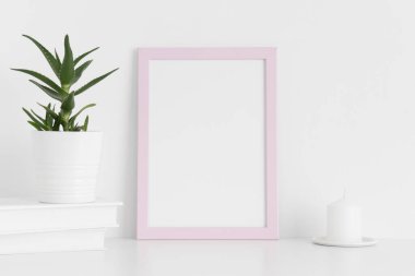 Çalışma alanı aksesuarlarıyla pembe çerçeve modeli ve beyaz bir tabloda aloe vera. Portre yönelimi.