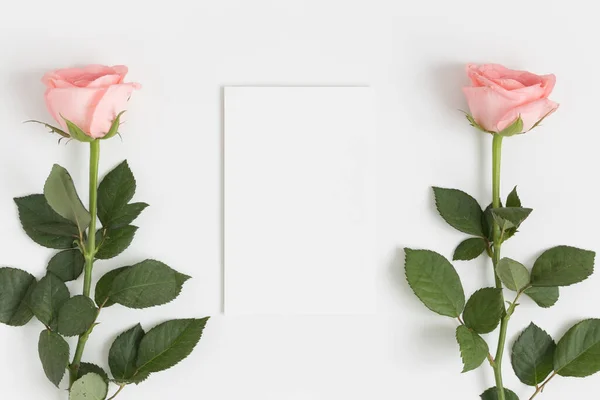 Vista Superior Una Maqueta Tarjeta Blanca Con Rosas Rosadas Sobre — Foto de Stock