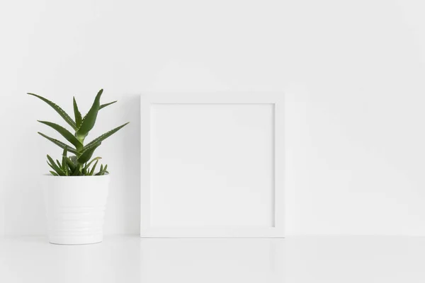 White Square Frame Mockup Aloe Vera Pot White Table — Stock Photo, Image