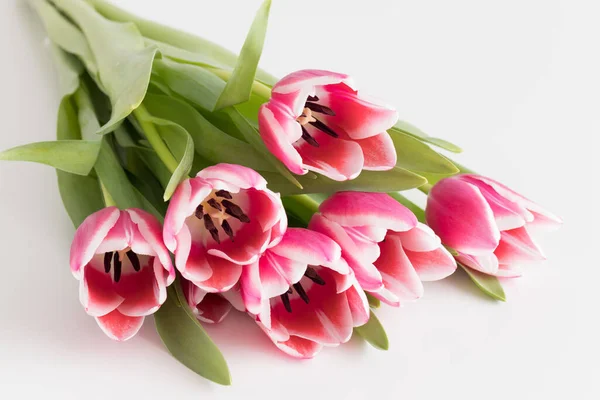 Ramo Tulipanes Rosados Sobre Una Mesa Blanca — Foto de Stock