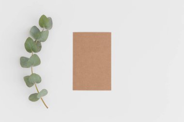 Beyaz bir masanın üzerinde okaliptüs dalı olan bir el işi kartının üst görüntüsü.