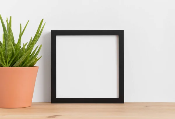 Black Square Frame Mockup Aloe Vera Ceramic Pot Wooden Table — Stock Photo, Image