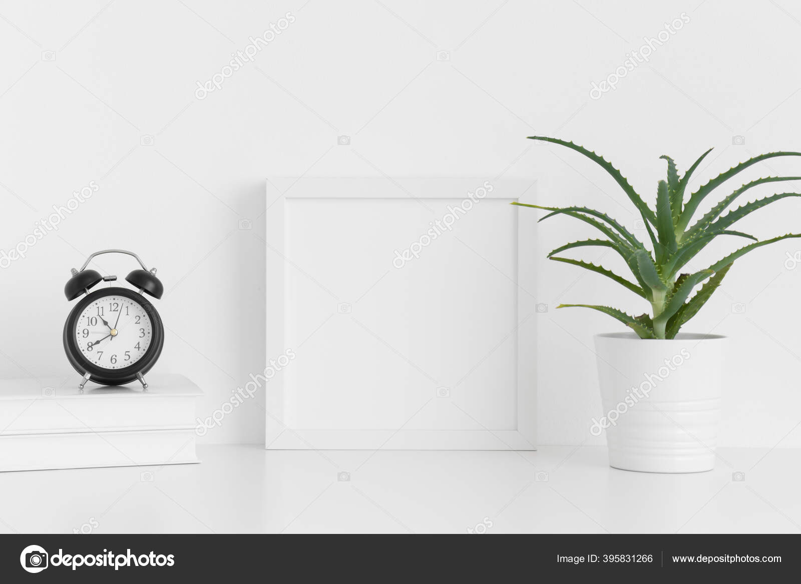 Download Putih Persegi Mockup Dengan Buaya Aloe Dalam Pot Dan Aksesoris Stok Foto C Snoflinga 395831266 PSD Mockup Templates