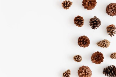 Beyaz bir masada çam kozalakları. Boş kopya alanı ile düz yatıyordu.