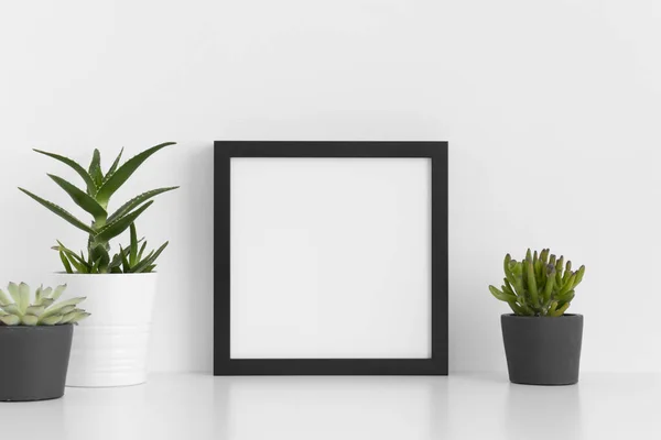 Black Square Frame Mockup Various Types Succulent Plants White Table — Stock Photo, Image