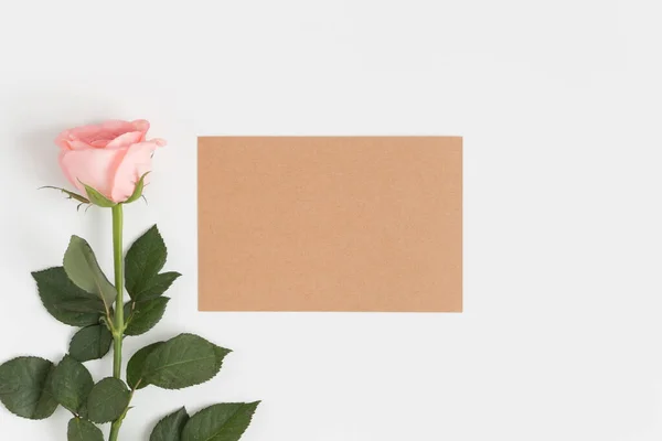 Vista Dall Alto Modello Carta Kraft Con Una Rosa Rosa — Foto Stock