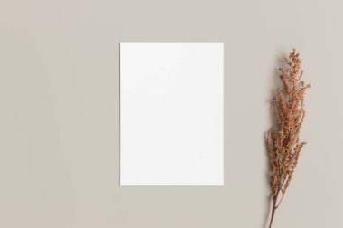 Kuru çiçekli davetiye beyaz kart modeli. 5x7 oranı, A6, A5 'e benziyor..