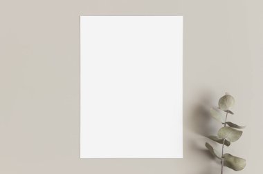 Davetiye, okaliptüs dallı beyaz kart modeli. 5x7 oranı, A6, A5 'e benziyor..