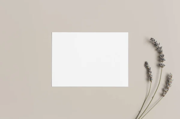 Invito Mockup White Card Con Lavanda Rapporto 5X7 Simile — Foto Stock