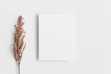 Davetiye, kuru çiçekli beyaz kart modeli. 5x7 oranı, A6, A5 'e benziyor..