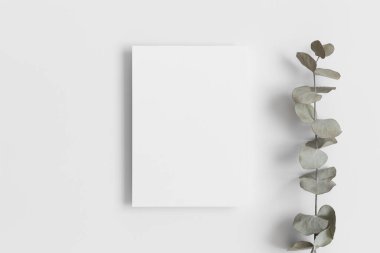 Davetiye, okaliptüs dallı beyaz kart modeli. 5x7 oranı, A6, A5.v 'ye benziyor.