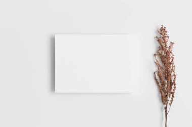 Davetiye, kuru çiçekli beyaz kart modeli. 5x7 oranı, A6, A5 'e benziyor..