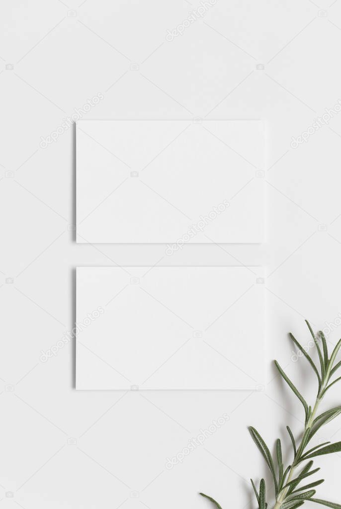 Two white business cards mockup 85x55mm with rosemary.