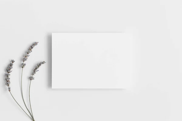 Inbjudan Vitt Kort Mockup Med Lavendel 5X7 Förhållande Liknande — Stockfoto