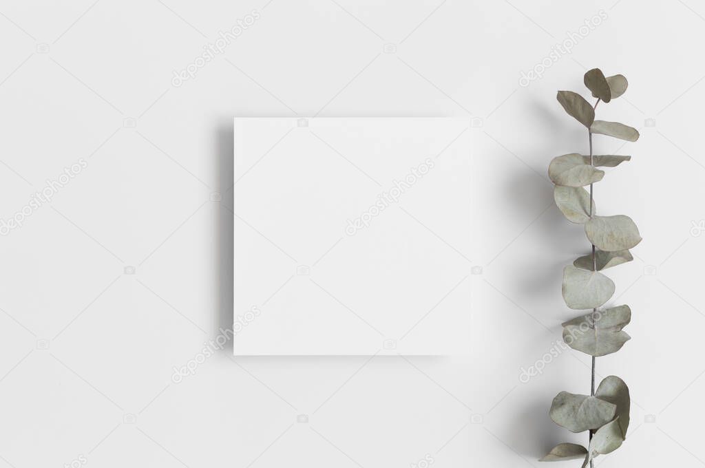 Invitation square card mockup with a eucalyptus branch.