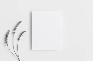 Davetiye, lavantalı beyaz kart modeli. 5x7 oranı, A6, A5.v 'ye benziyor.