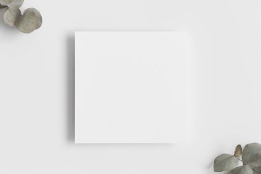 Okaliptüs dallı davetiye kare maketi.