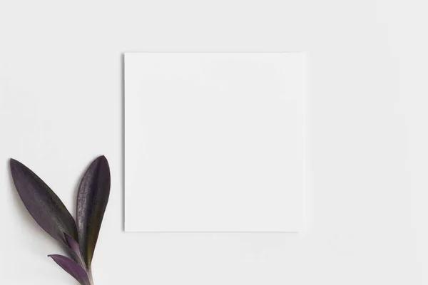 Mockup Carta Quadrata Invito Con Fiore — Foto Stock