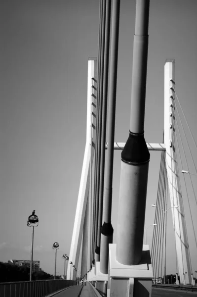 Brückenbau Der Brücke Mit Pylonen Warschau Schwarz Weiß — Stockfoto