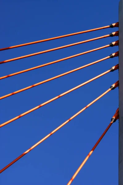 Puente Construcción Del Puente Con Pilones Varsovia Líneas Cuerdas Solo —  Fotos de Stock