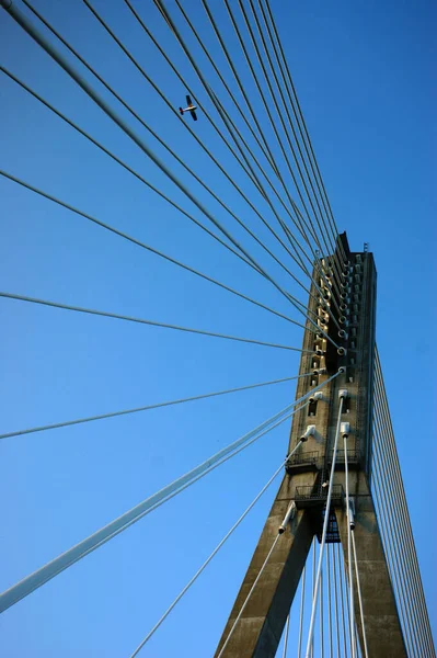 Brückenbau Der Brücke Mit Pylonen Warschauer Blauer Himmel — Stockfoto