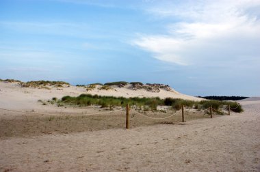 Kumsalda bir çöl tepesinde kum. Polonya 'da kum tepecikleri hareket etmiyor.