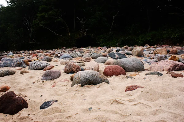 Sand Auf Einer Wüstendüne Strand Keine Menschen Steine Und Bäume — Stockfoto