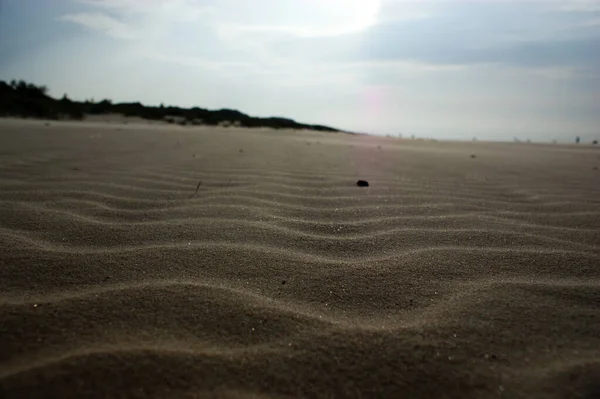 Kumsaldaki Bir Çöl Tepesinde Kum Kimse Rüzgardan Gelen Çizgilerde Kum — Stok fotoğraf