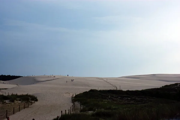 Arena Una Duna Del Desierto Playa Ninguna Gente Moviendo Duna —  Fotos de Stock