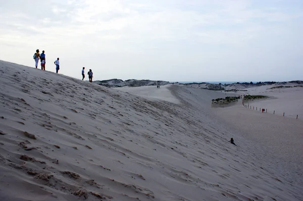 Kumsalda Bir Çöl Tepesinde Kum Polonya Kum Tepecikleri Hareket Etmiyor — Stok fotoğraf