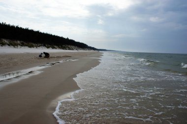 Polonya Baltık Denizi güzel mavi deniz dalgaları okyanus ufku kum ve kumsal mavi gökyüzü