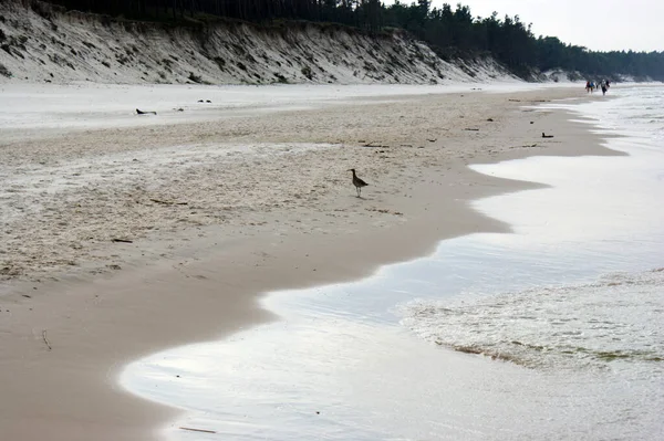 Polska Östersjön Vackra Blå Havet Vågor Ocean Horisont Sand Och — Stockfoto