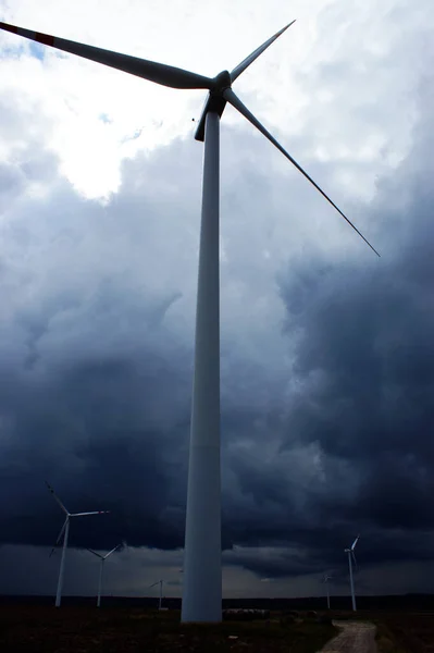 Wind Farm Windmill Wind Farm Field Blue Sky Cloudy Sky — Stock Photo, Image