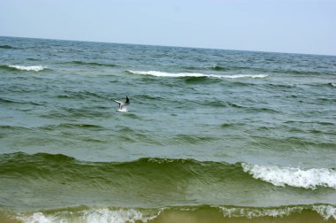 Polonya Baltık Denizi güzel mavi deniz dalgaları okyanus ufku kum ve kumsal mavi gökyüzü