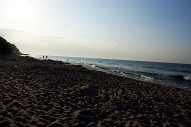 Deniz kıyısında rüzgarda köpükler uçuşuyor.