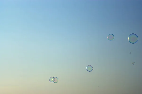 Burbujas Jabón Grupo Sobre Fondo Del Cielo Del Atardecer —  Fotos de Stock