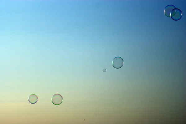 Burbujas Jabón Grupo Sobre Fondo Del Cielo Del Atardecer —  Fotos de Stock