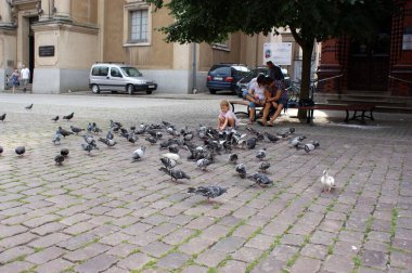 Çocuk meydanda ailesiyle güvercin besliyor.