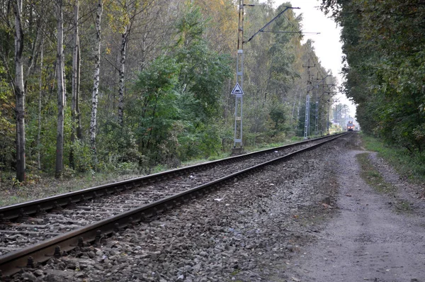 Spoor Single Track Dijk Spoorweg Dwarsliggers Herfst — Stockfoto