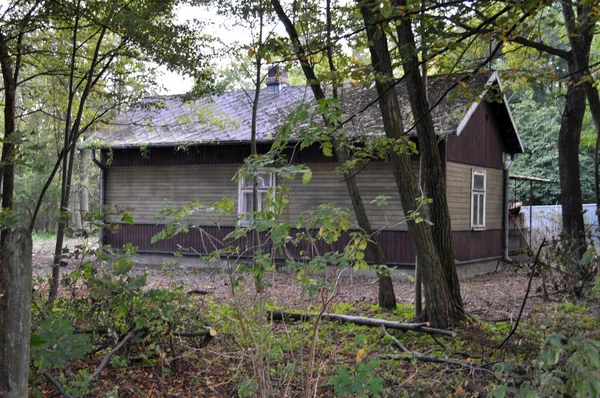 Kırsal kesimde eski bir kır evi manzarası ormandaki bir ahşap